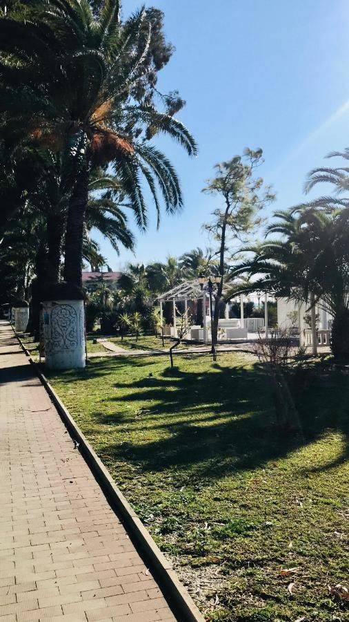 Фото Гостевого дома Guest house on Prospect Vladislava Ardzinba Гагра 3